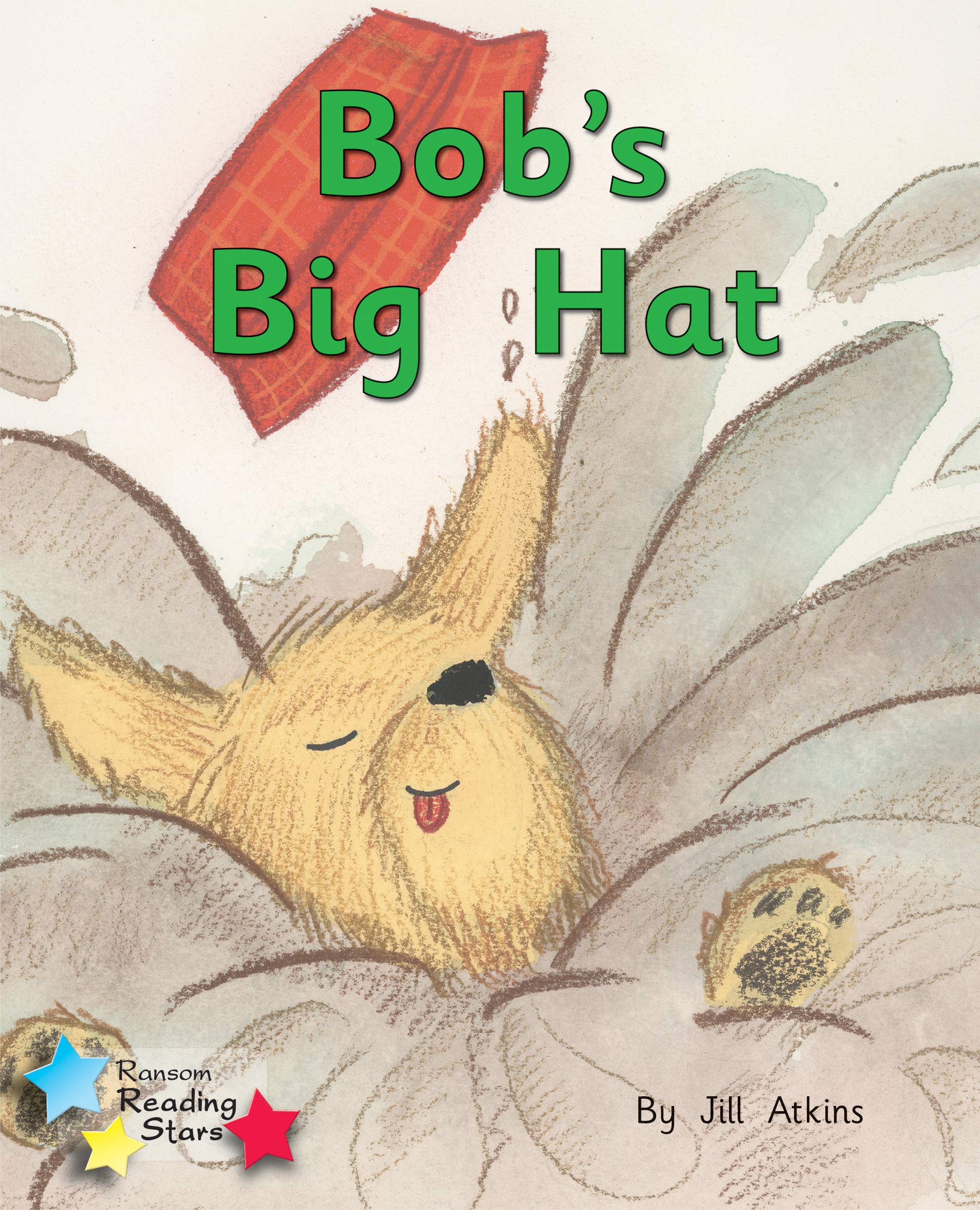 Bob and the Hat: Phonics Phase 2 (Reading Stars Phonics)