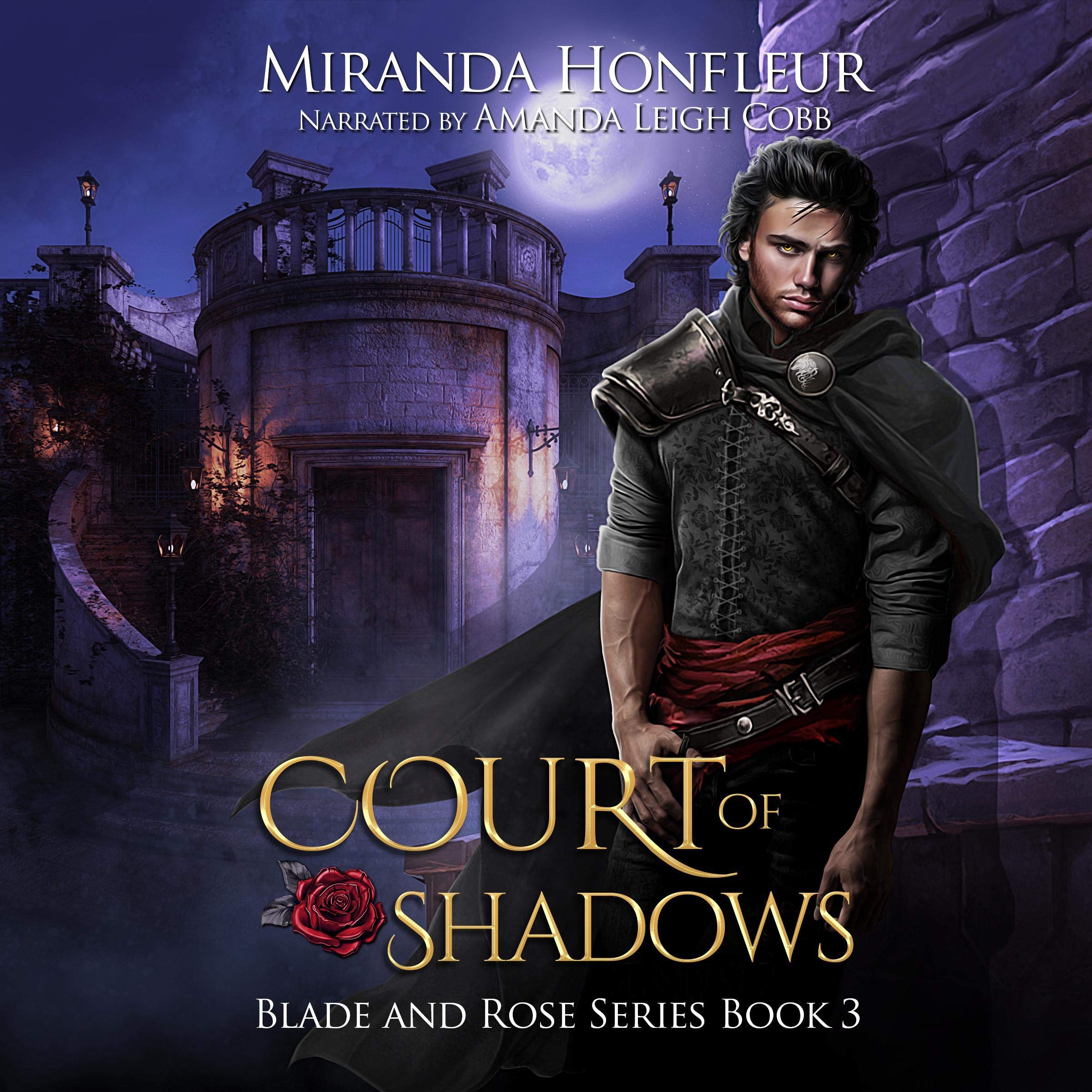 Cover art for Court of Shadows