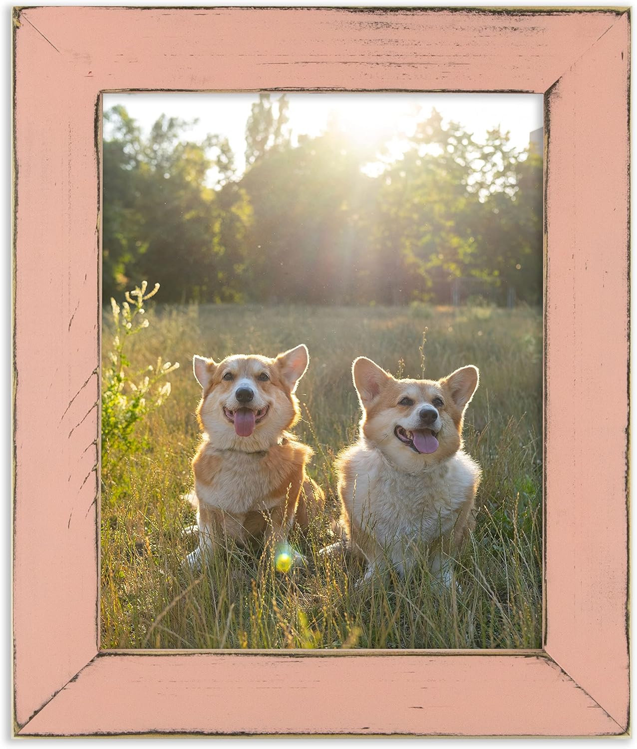 The Rusty Roof-Weathered Everly Baby Pink-Solid Wood Picture Frame-12x16