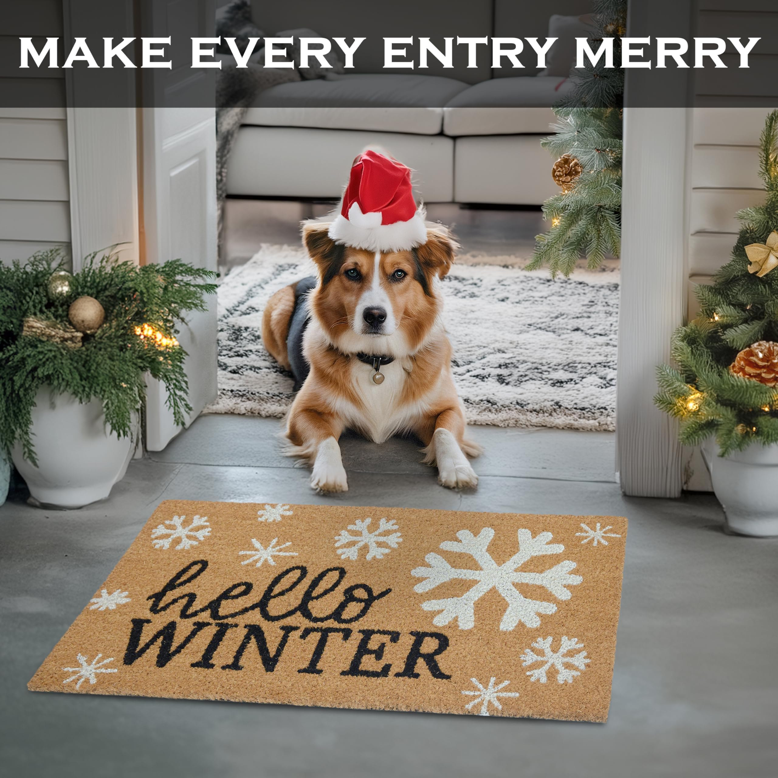 Snapklik.com : Hello Winter Door Mat 30x17 Inch, Snowflake Door Mat For ...