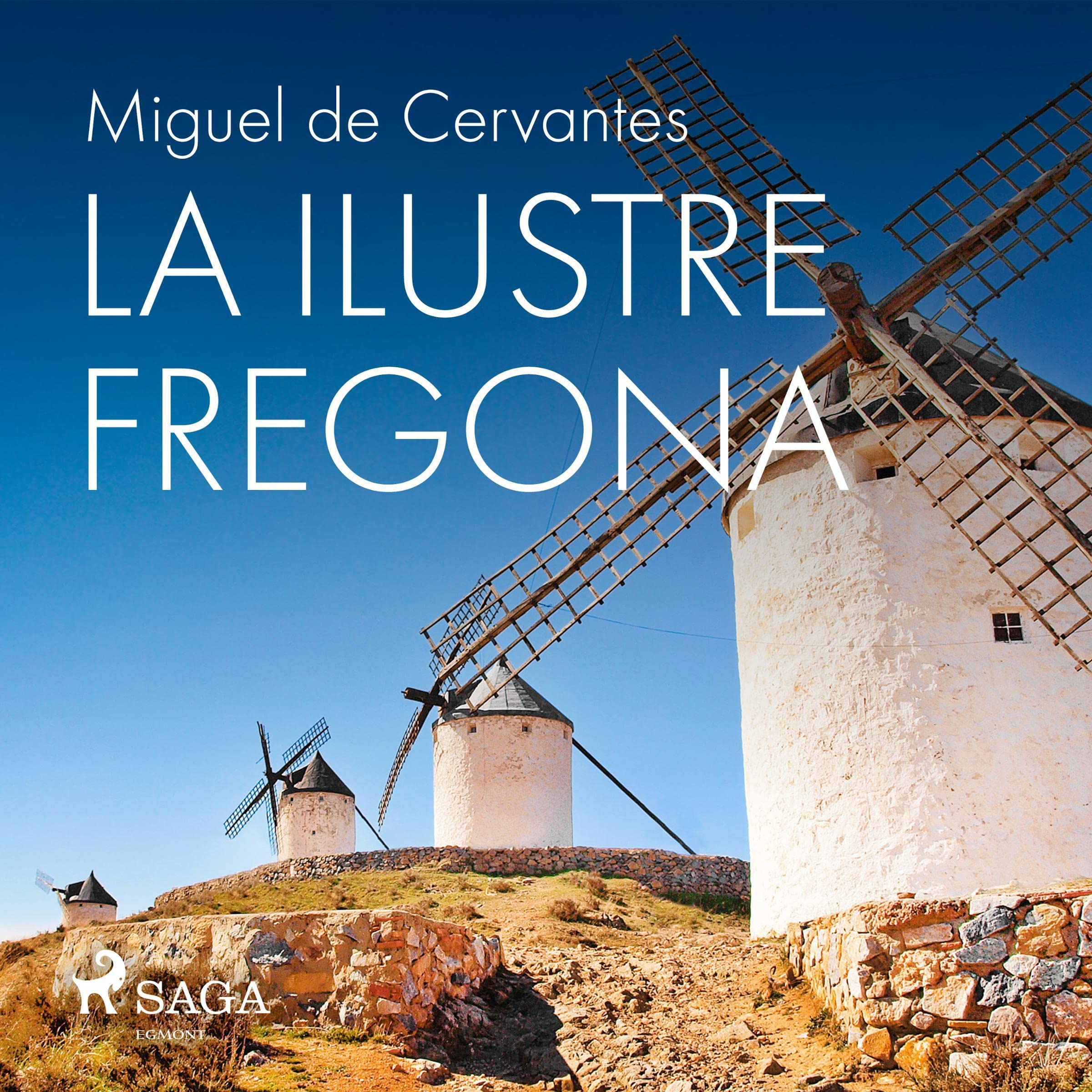 Cover art for La ilustre fregona