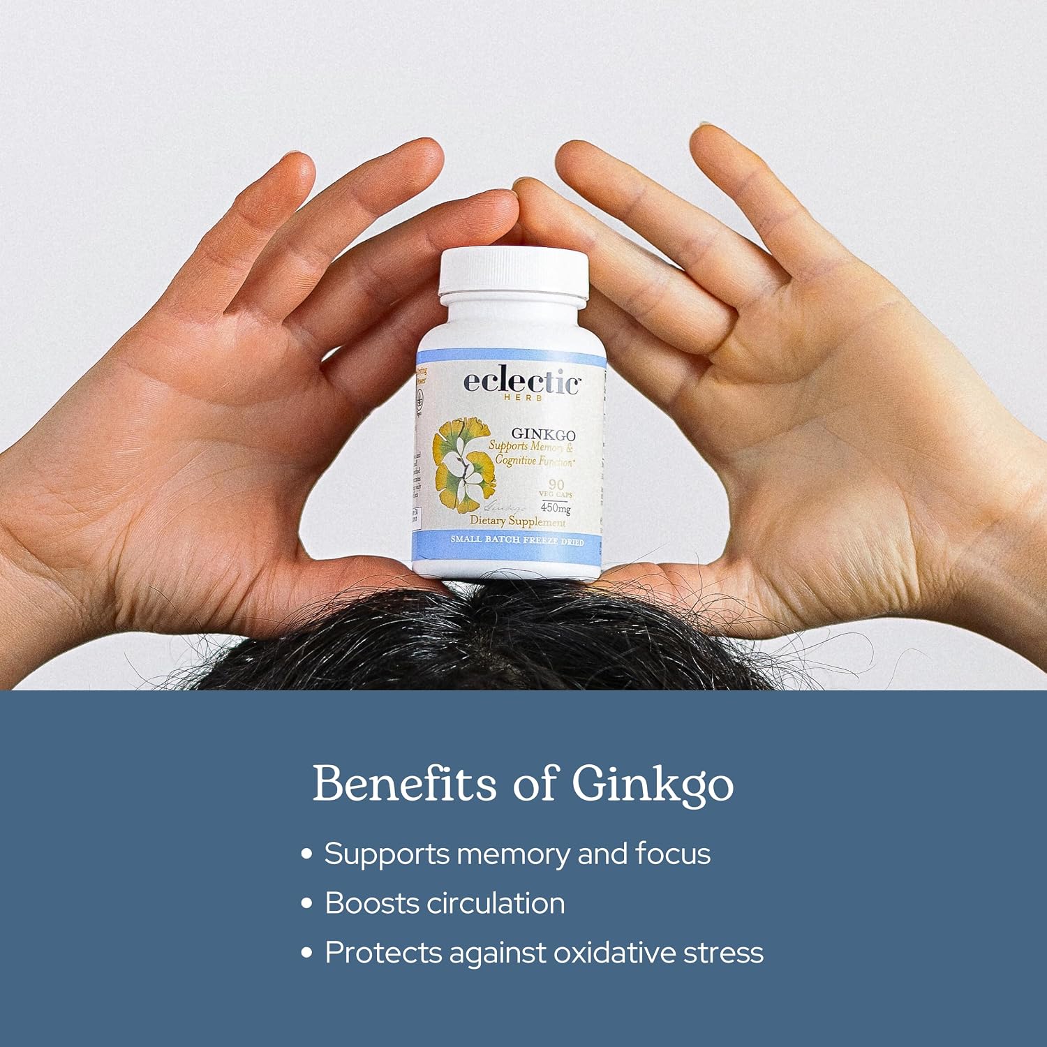 Eclectic Herb - Ginkgo Biloba Capsules | Brain Support Supplement | Cognitive Function & Circulatory Support | Focus & Memory | Vegan, Non-GMO, Gluten Free, Freeze-Dried (90 CT | 450 mg)
