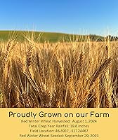 Vista 12 de Granos de trigo duro rojo de invierno transgénicos, 100 % sin irradiar. Certificado Kosher Parve. Cultivado en EE. UU. Registro de campo