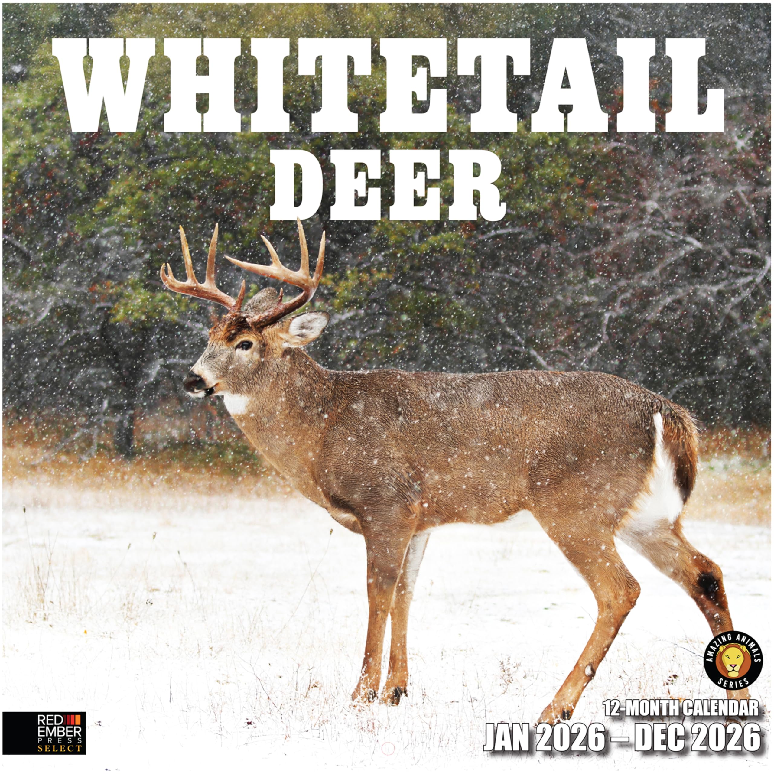 RED EMBER Select - Whitetail Deer 2026 Wall Calendar 12 Month | 12" x 24" Open | Thick &amp; Sturdy Paper | Giftable | Hunting Animal Calendar 2026