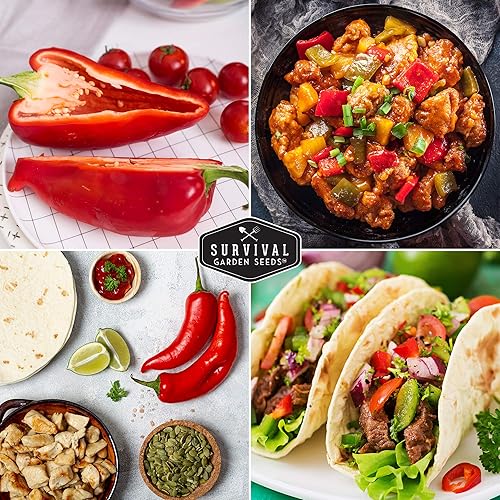 Miniatura 5 de Survival Garden Seeds - Semilla de pimiento rojo Marconi para plantar - Paquete con instrucciones para plantar y cultivar pimientos italianos dulces