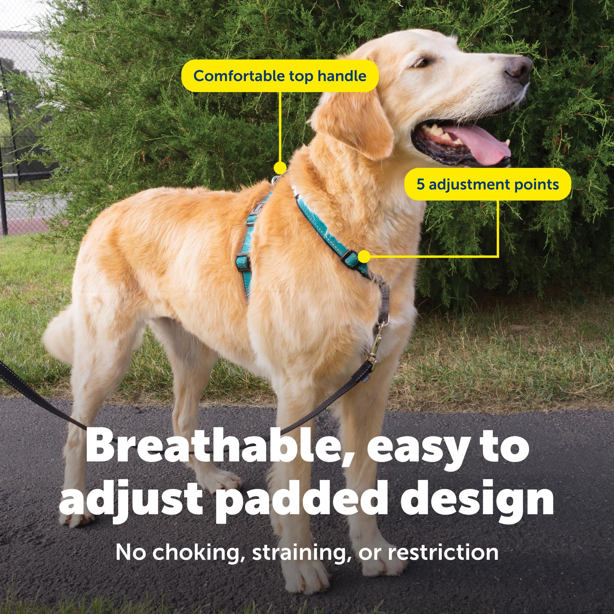 PetSafe : Harnais 3 en 1 et Dispositif de retenue pour Chien