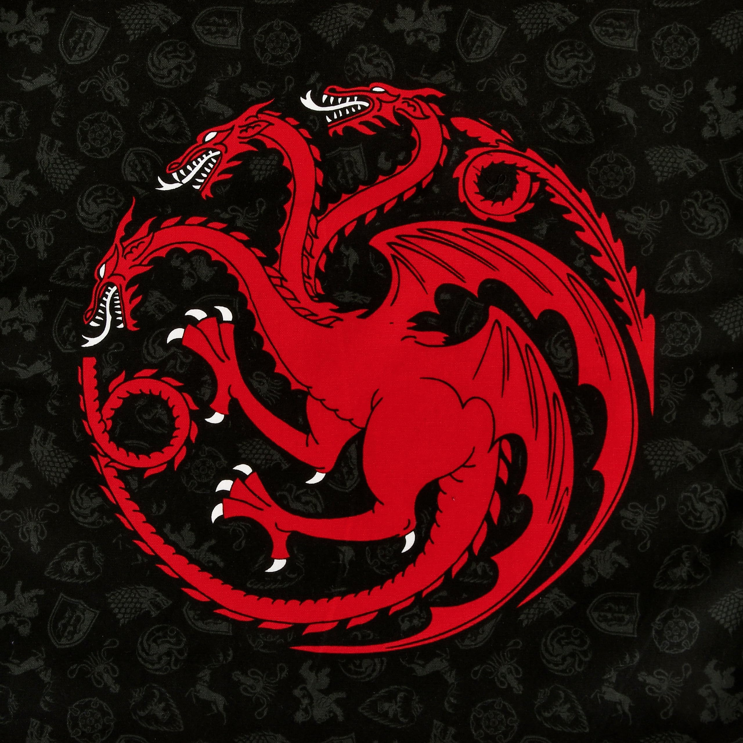 Elbenwald Zestaw ręczników do naczyń – 2 sztuki – chłonne ściereczki 44 x 65 cm – pomysł na prezent filmy i seriale – ręczniki z bawełny (Gra o Tron, mocne i Targaryen)