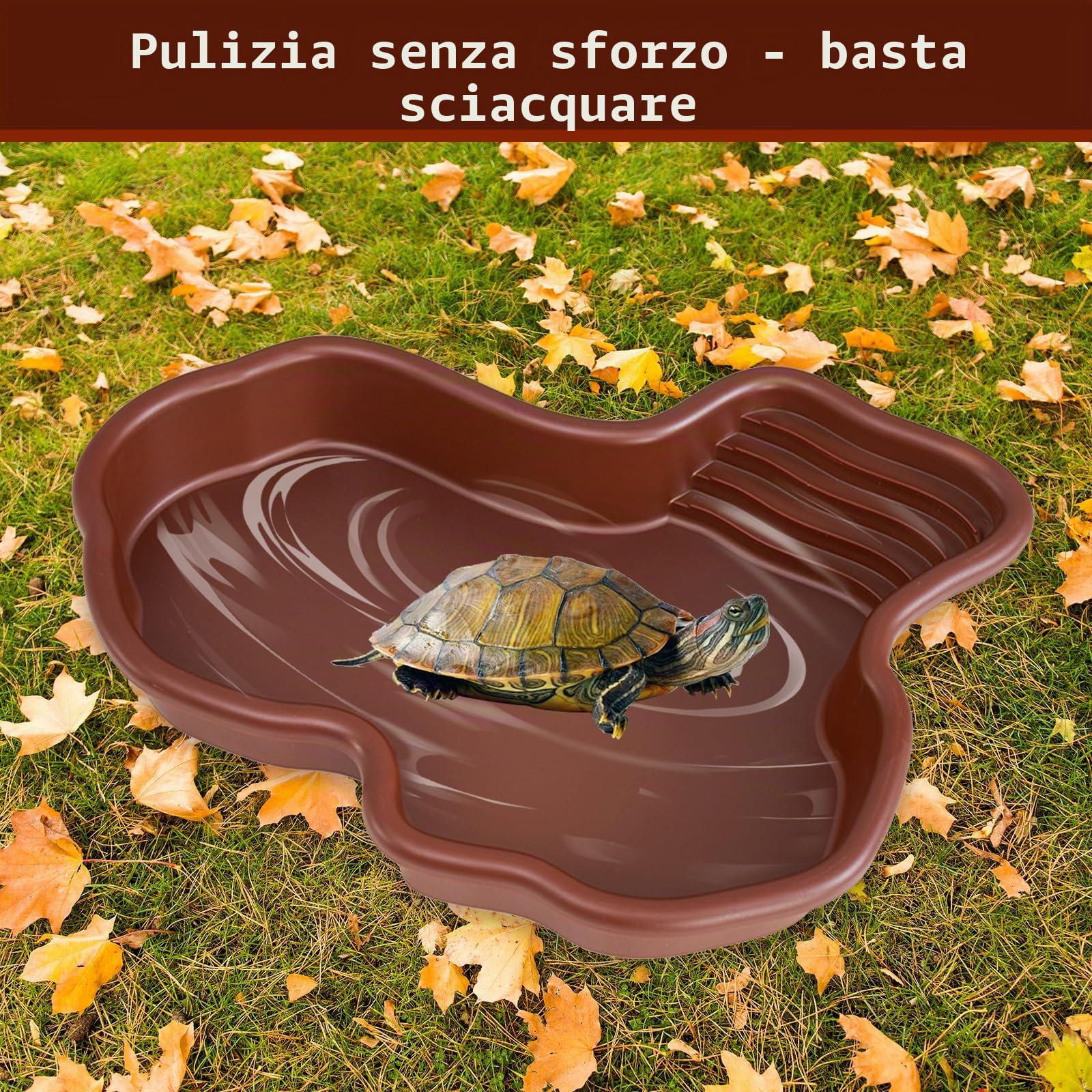 Vasca da bagno rettile, Ciotola per Tartarughe 31*25*5cm, Piscina da Bagno per Rettili, piscina per tartarughe di terra, Vasca da Bagno per Rettili per Tartarughe, Draghi Barbuti, Lucertole e Gechi