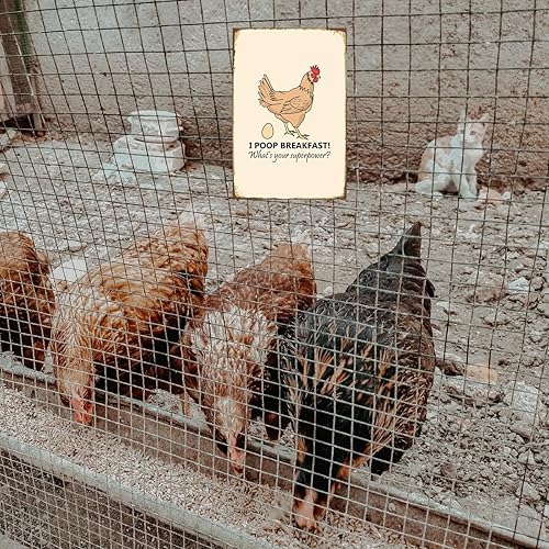 Miniatura 5 de Letrero divertido de pollo, letrero de metal para gallinero, letrero de hojalata I poop breakfast, letrero de patio, garaje, granja, jardín,