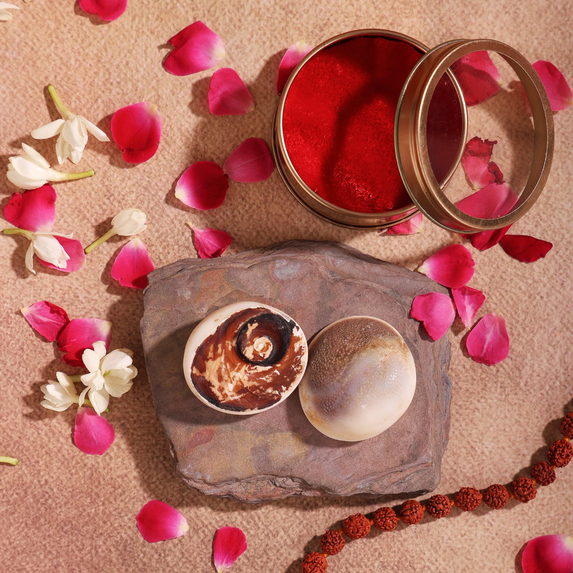 2 Pc Original & Rare Natural Big Gomati Chakra For Puja - Approx 2 Inches Vishnu Sudarshan Gomti Lakshmi Laxmi Dhan Pooja For Wealth, Luck, Vastu Diwali Pooja Samagri Shubh Yantra Holy Stone