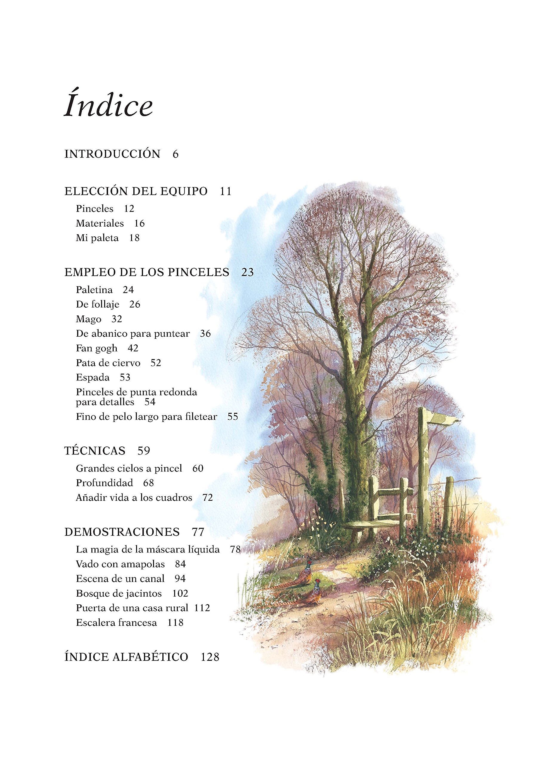 Técnicas De Pincel En Acuarela: Cómo dibujar paisajes fácilmente (PREPARADO PARA PINTAR)