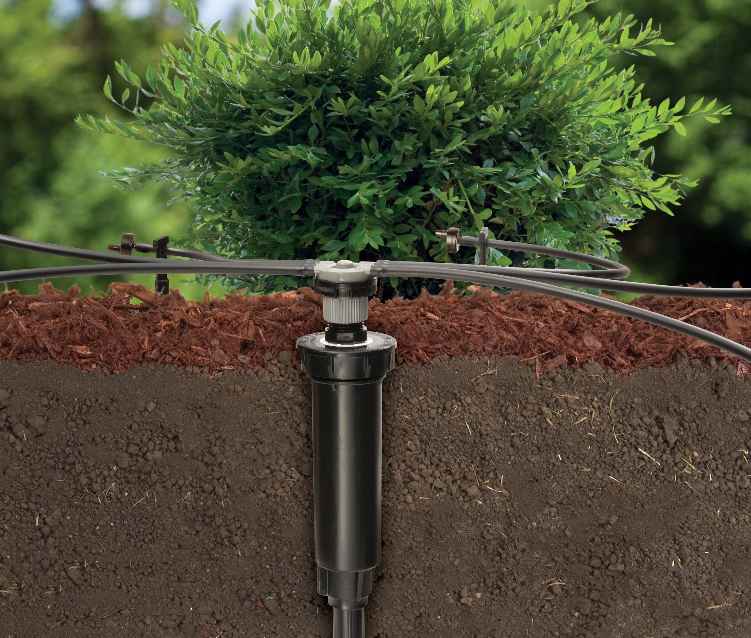 Buy Rain Bird CNV182EMS Drip Irrigation Sprinkler Conversion Kit, 1800 Series PopUp to 6 Drip