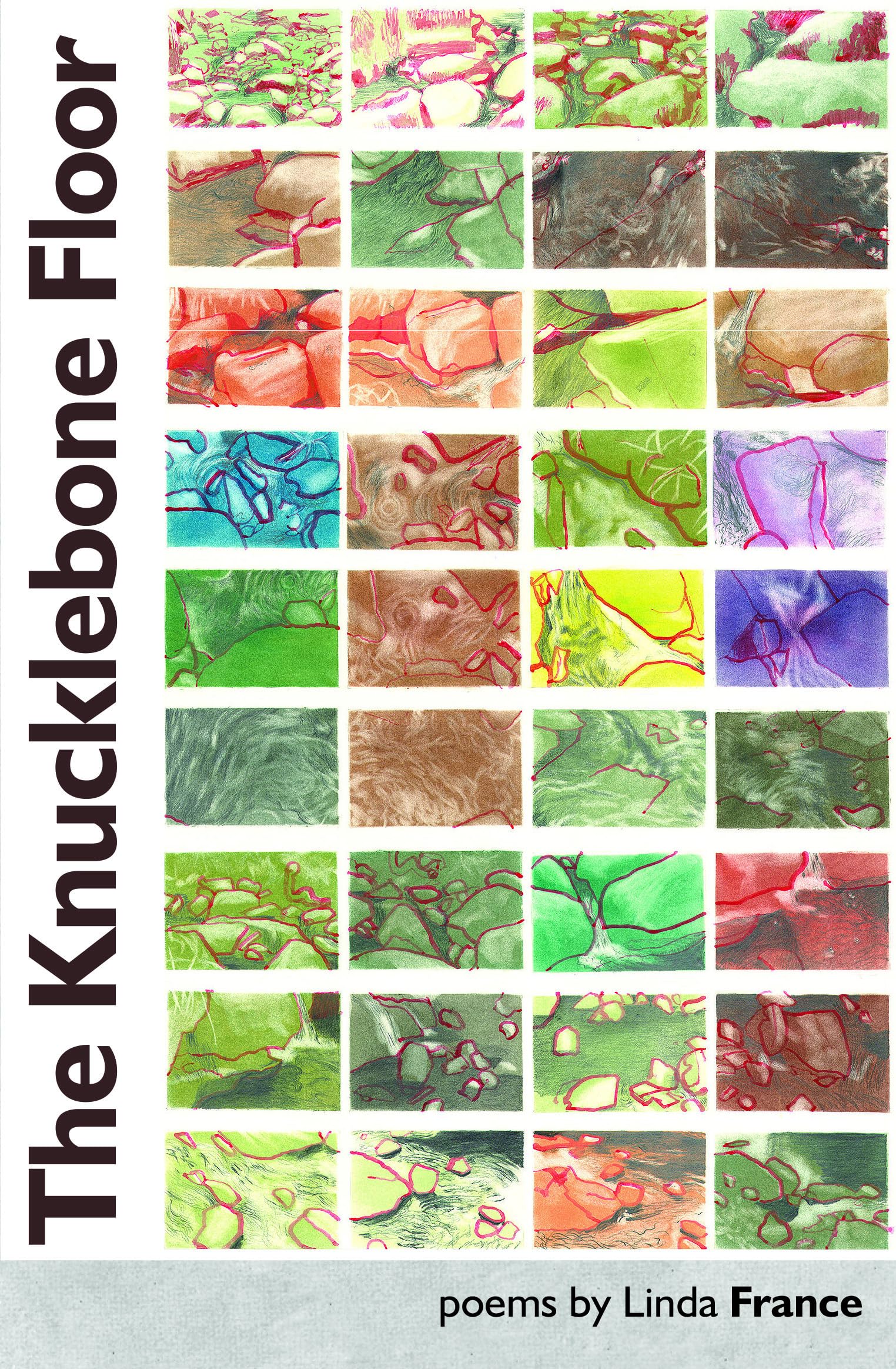 The Knucklebone Floor by Linda France (Paperback Book)