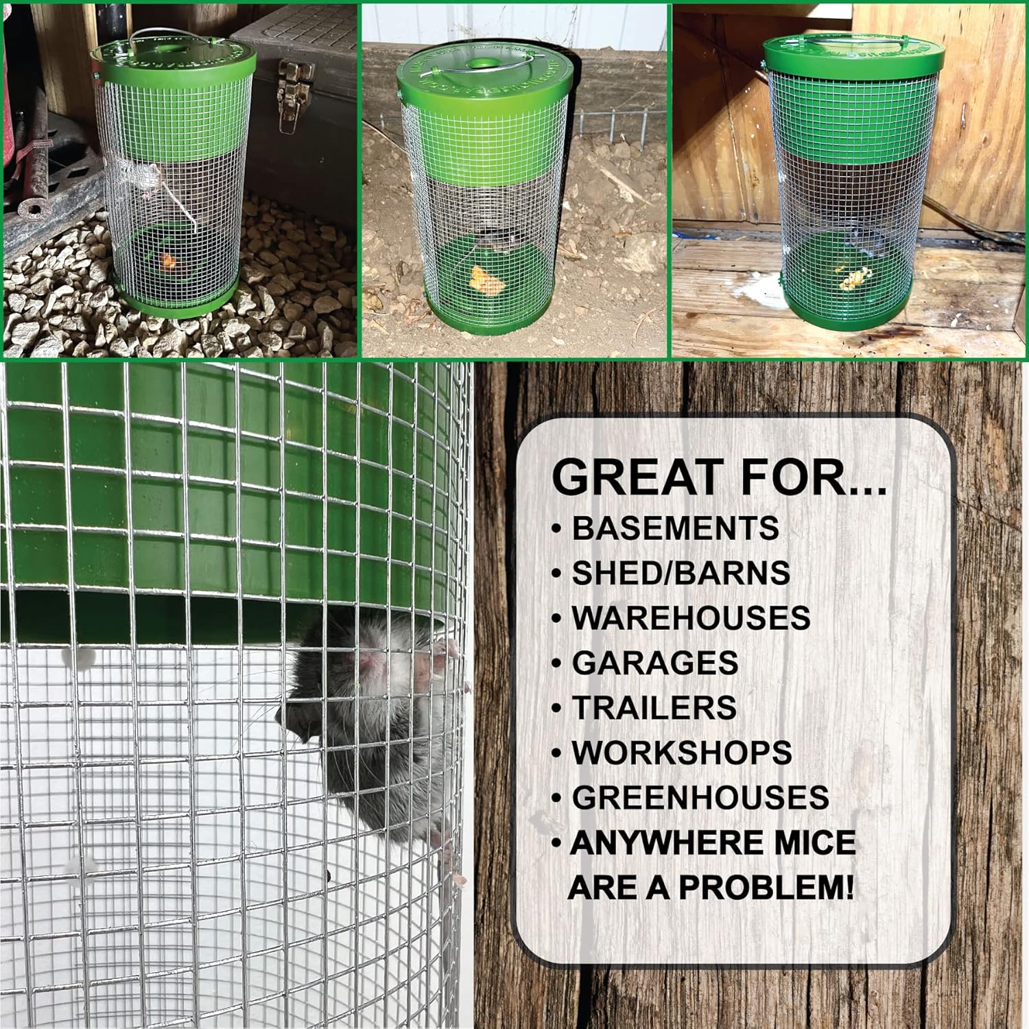 Billy Bob Multi-Catch Mouse Trap