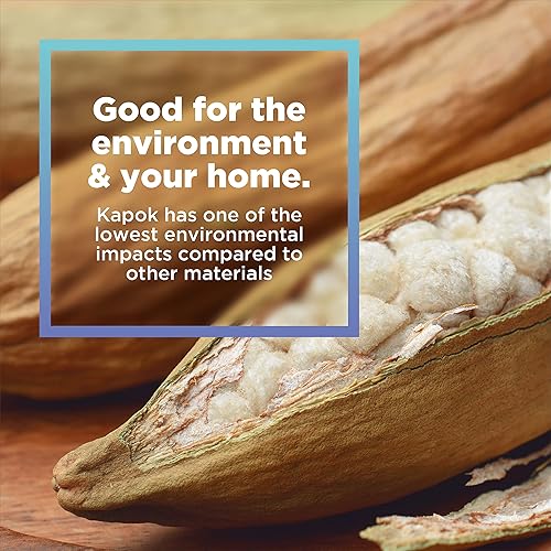Miniatura 3 de Bean Products Relleno Kapok prémium  20 libras  Fibra Kapok 100 orgánica libre de productos químicos e hipoalergénicos perfecto para almohadas camas