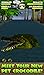 Virtual Pet Crocodile