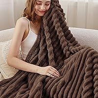Vista 290 de Bedsure GentleSoft Twin Blanket for Couch - Cozy Soft Blankets for Women, Cute Small Fleece Throws for Girls, Light Grey, 60x80 Inches