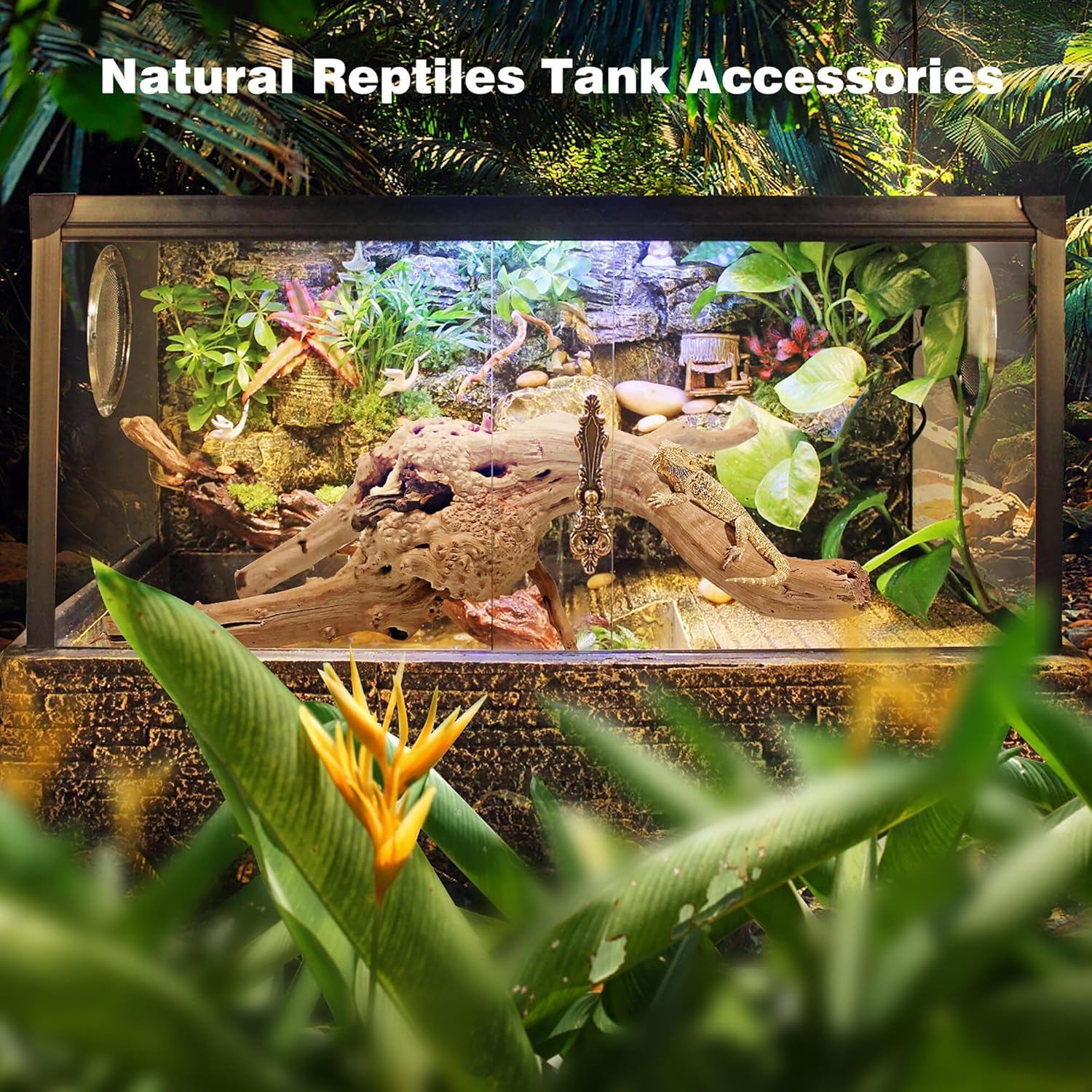 "Spiderwood for Aquarium Decor" - Image 7