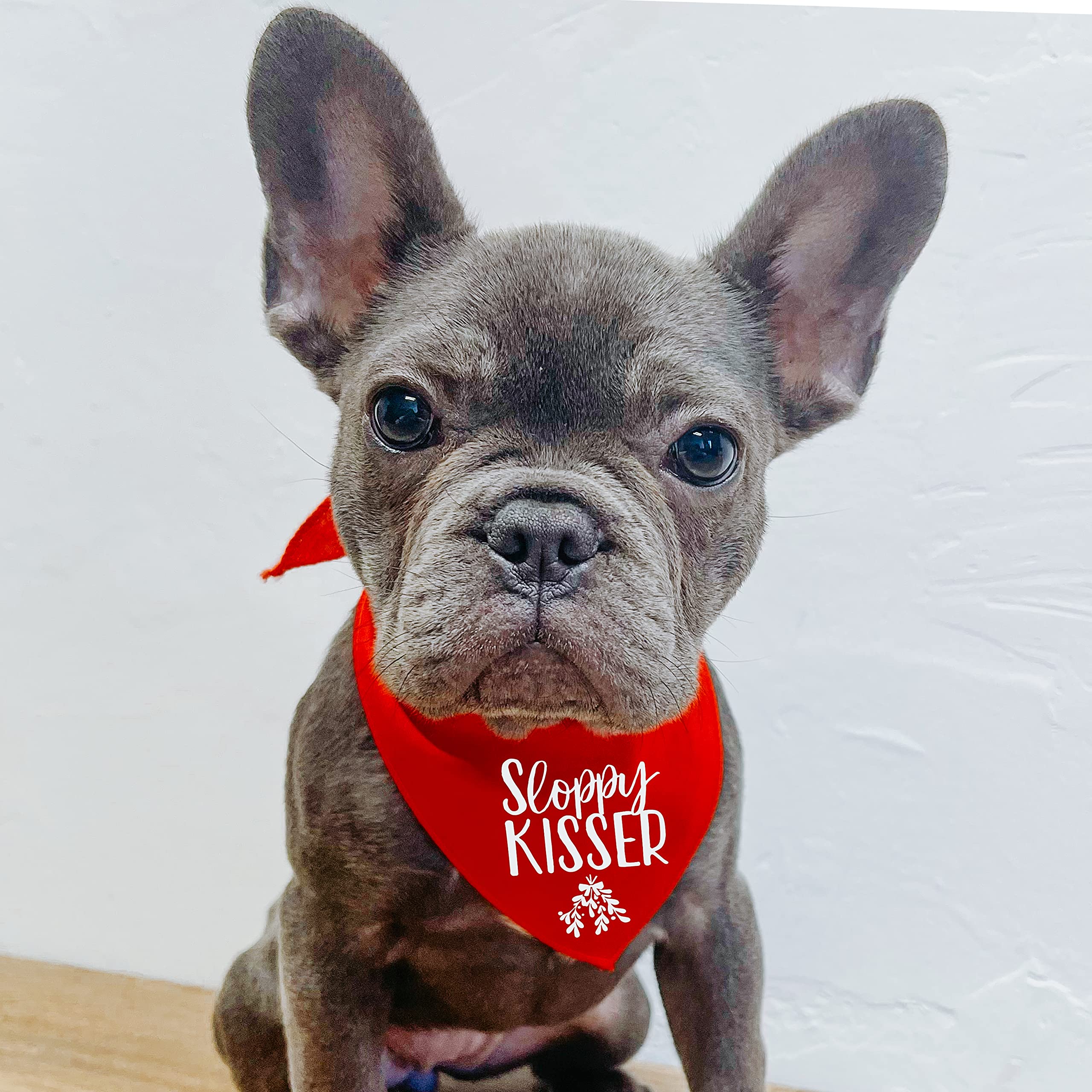 Sloppy Kisser Mistletoe Christmas Dog Bandana (Green, XS 84)