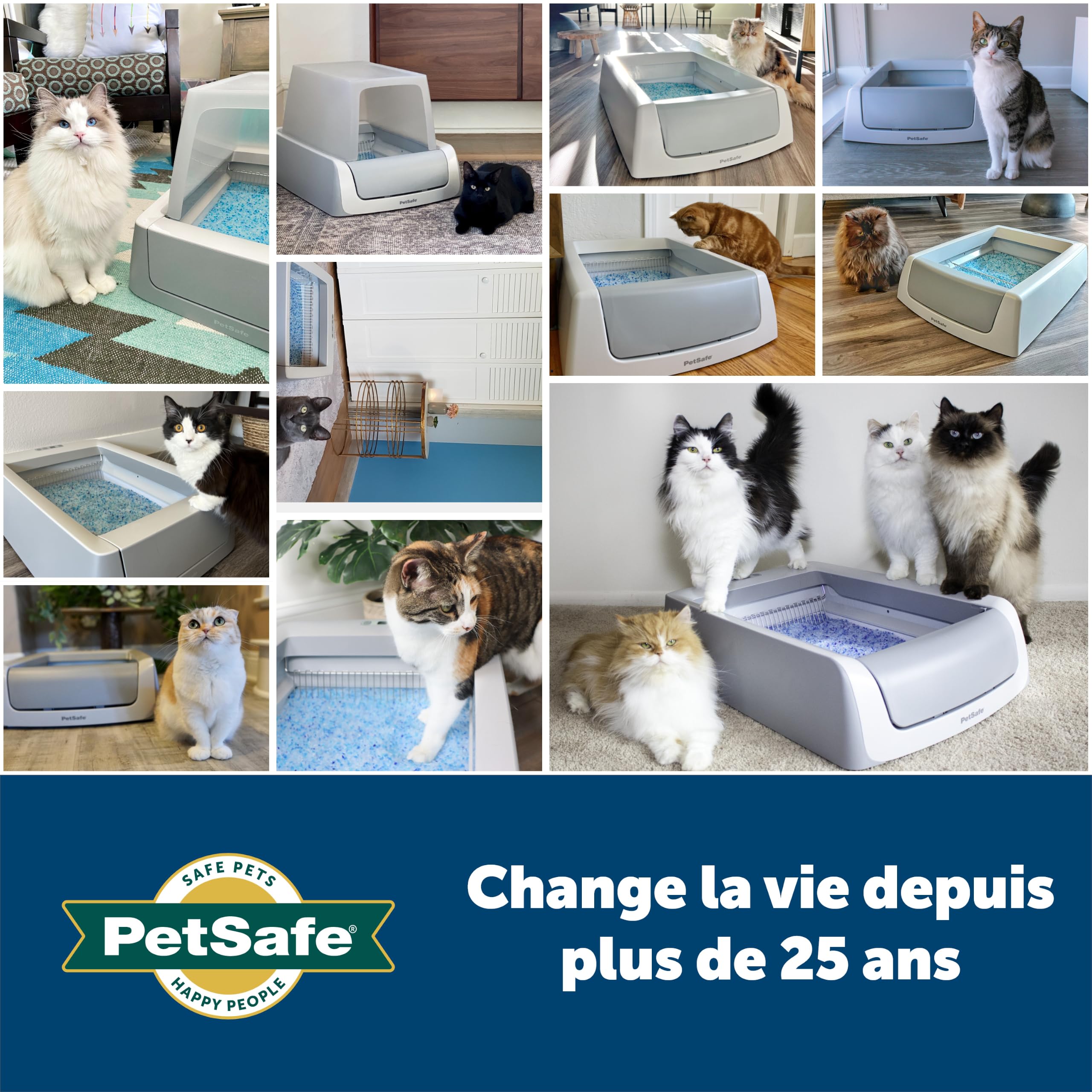 PetSafe ScoopFree Premium Litière pour Chat Non Agglomérante en Cristal - Contrôle des Odeurs, sans Poussière - Bleu Premium, Paquet De 2