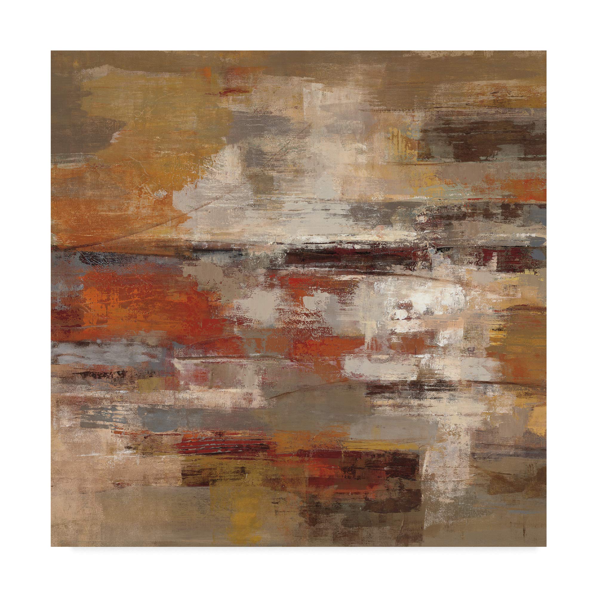 Trademark Fine Art Painted Desert Crop by Silvia Vassileva, 24x24-Inch Fine Art, Multicolor