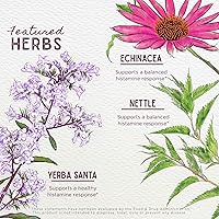 Vista 4 de WishGarden Herbs Kick-Ass Allergy para el embarazo: suplemento de alergia a base de plantas con hoja de ortiga, equinácea y yerba Santa, apoya