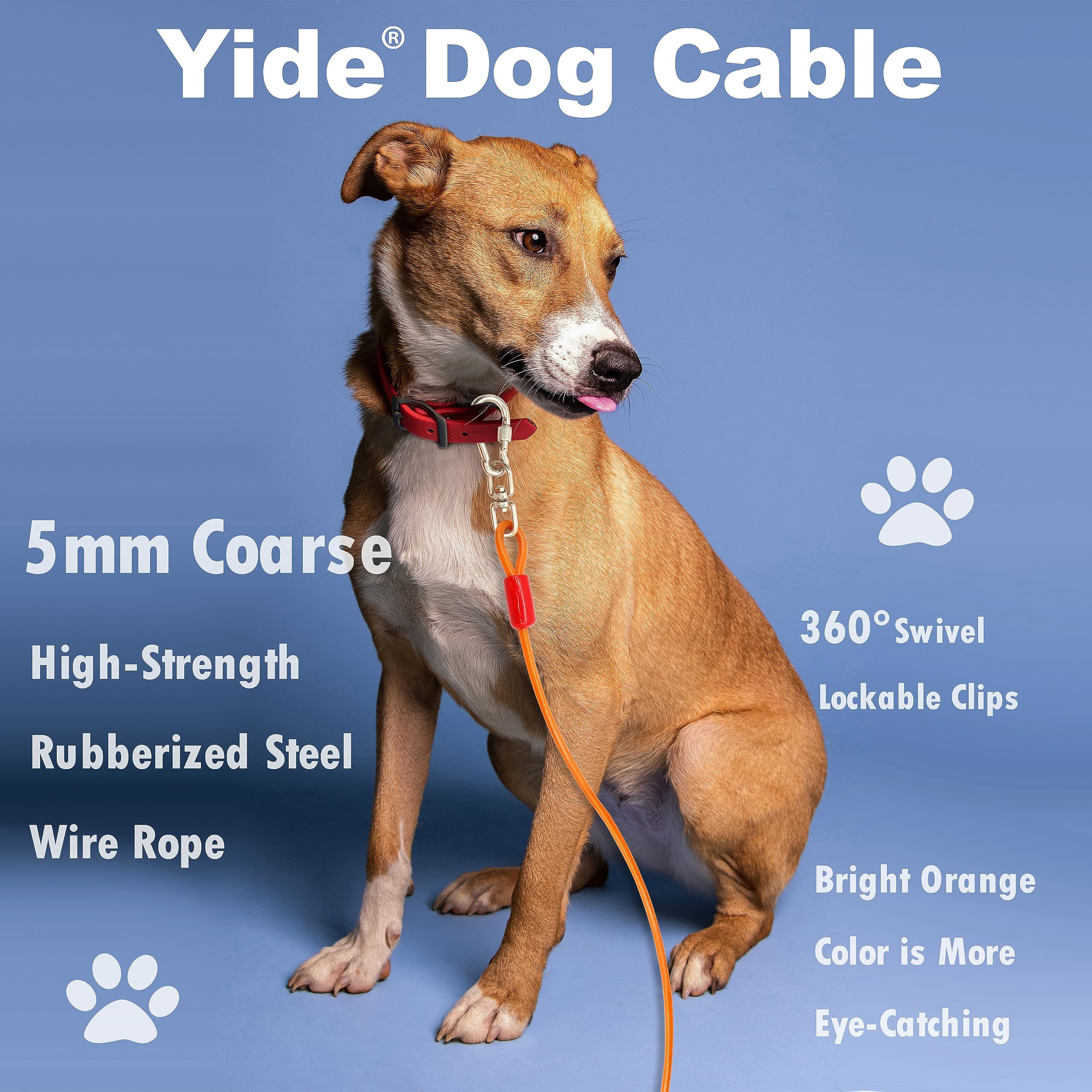 Outdoor Dog Tether Camping Dog Tie Out Cable: Reflective 100 Ft Heavy Duty  Dogs Chain For Outside With Shock Absorbing Spring - Dog Runner Leash For  Yard Camping Outdoor Sturdy Lead For