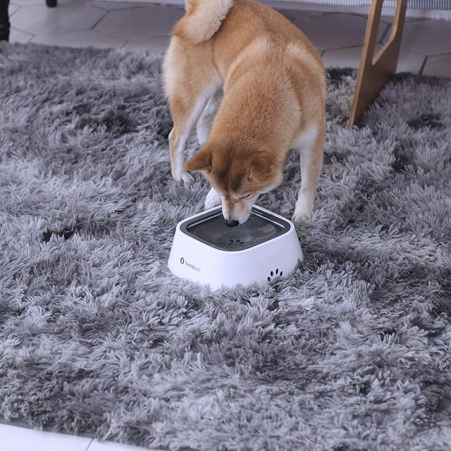Foto 6 de 7 de LumoLeaf - Cuenco de Agua para Perros (1 L, antisalpicaduras, antifugas, dispensador de Agua para Gatos…
