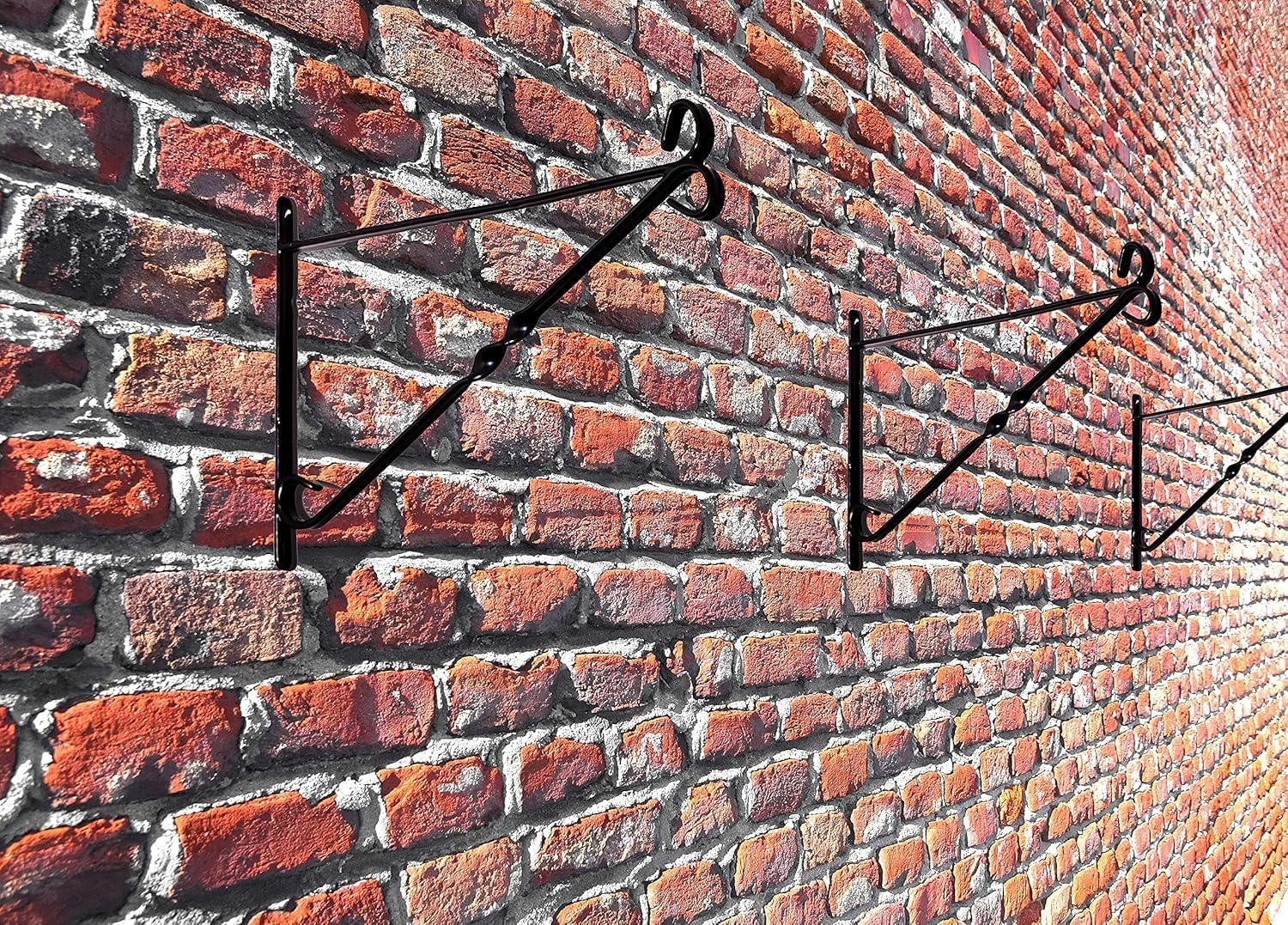 View 5