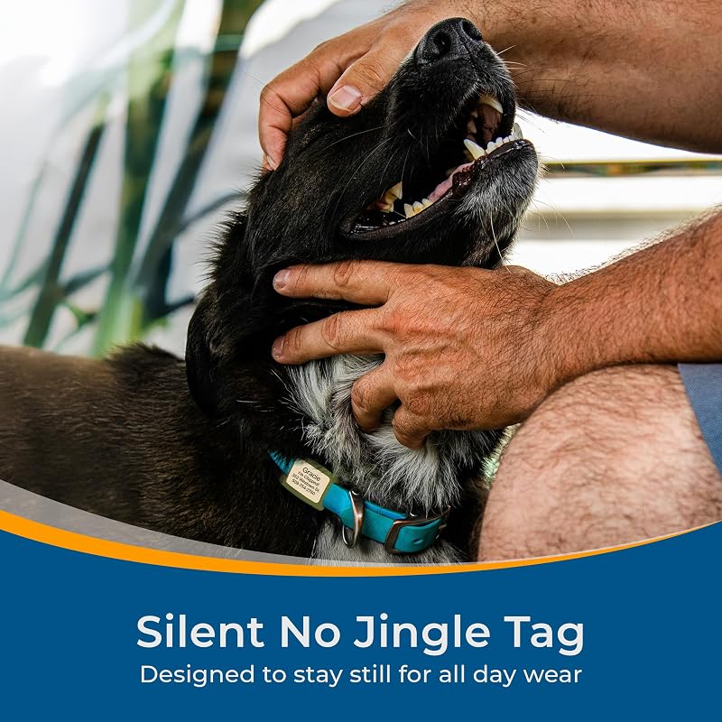 GoTags Lifestyle Silent Dog Tag, Personalized Engraved Silicone Pet ID Tags | Soundless Quiet Slide On Nameplate for Cat Collars with Name and Number, No More Jingling Tags (Beach Glass, Large)