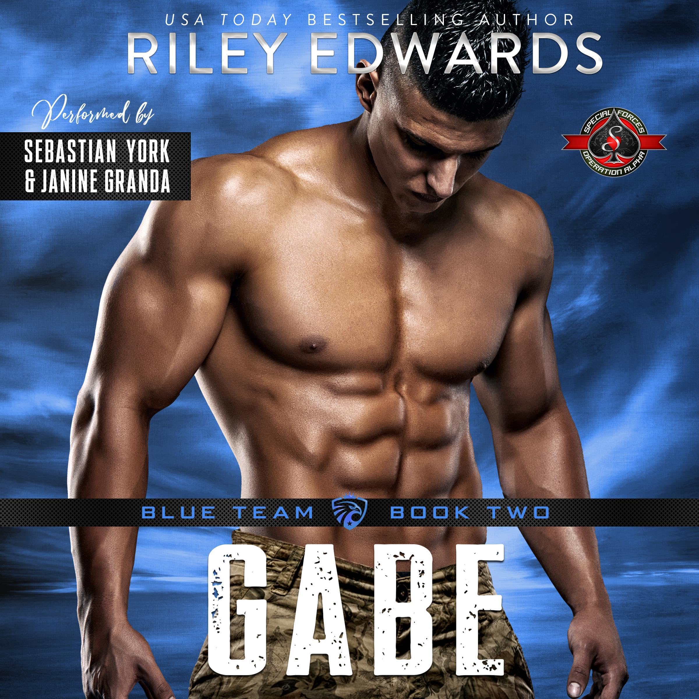 Cover art for Gabe (Special Forces: Operation Alpha)