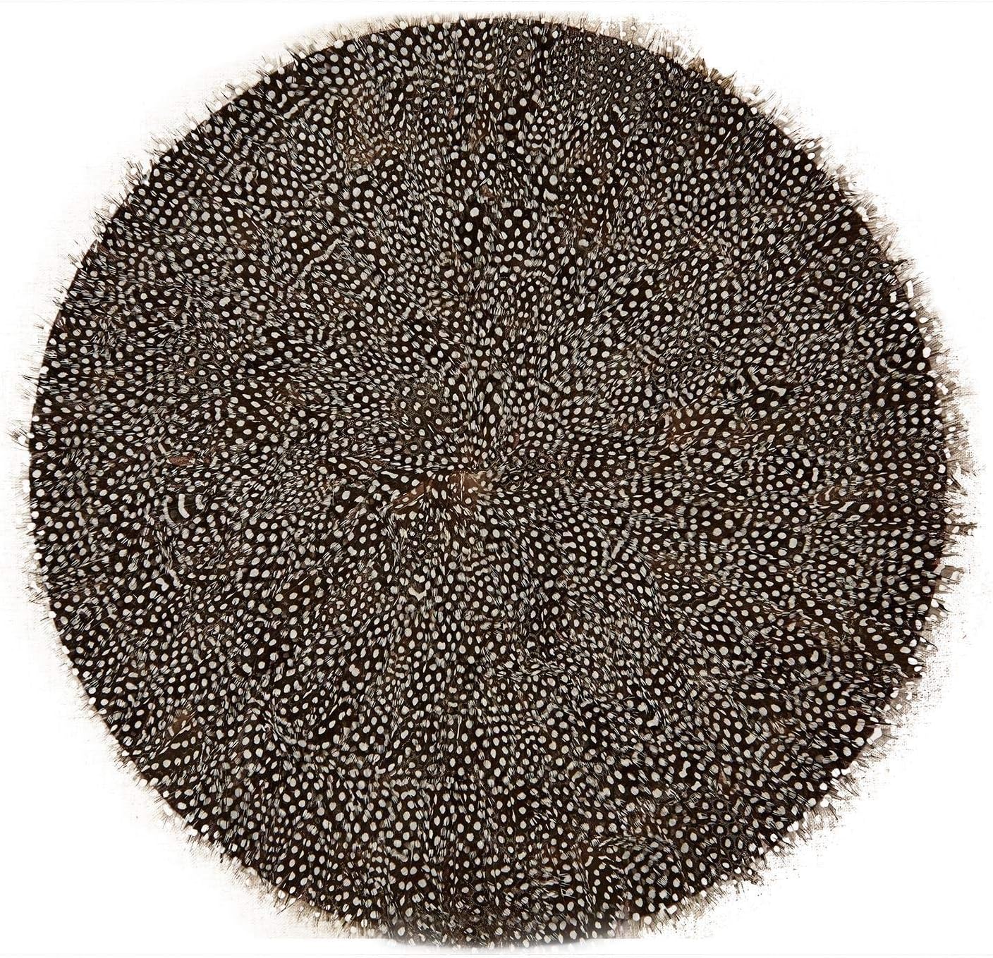 Two's Company 51057 Guinea Fowl Feather Placemats, Set of 6