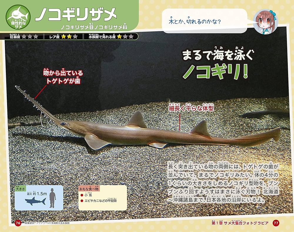 はじめてのサメ図鑑 (水族館へ行こう!) | 田中 彰, 月刊アクアライフ