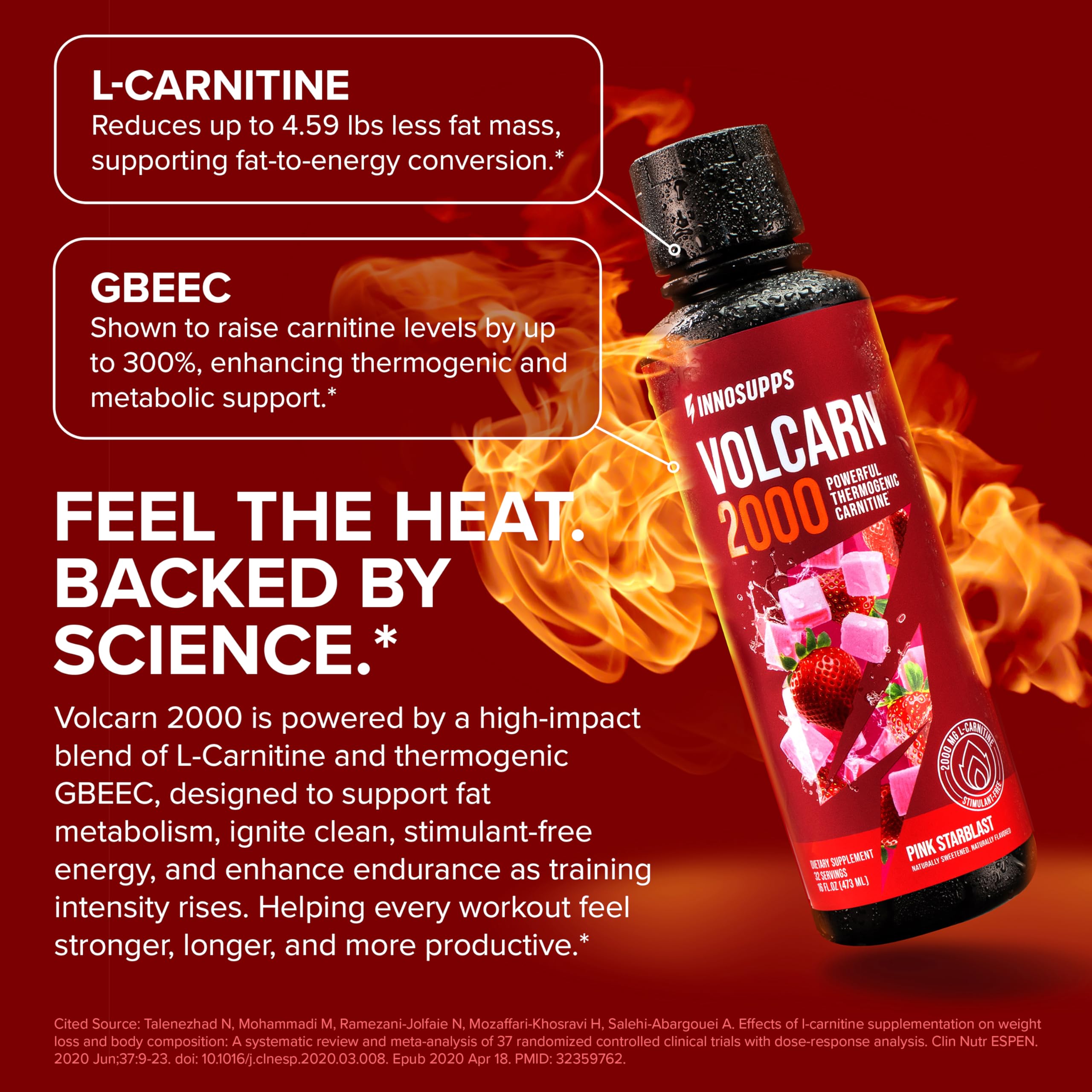 l-carnitine supplementation weight loss meta-analysis 2020 Clinical Effects of on Physical Performance in Healthy Subjects, the Key to Success in Rehabilitation: A Systematic Review and from the Rehabilitation Point of View The bright and the dark