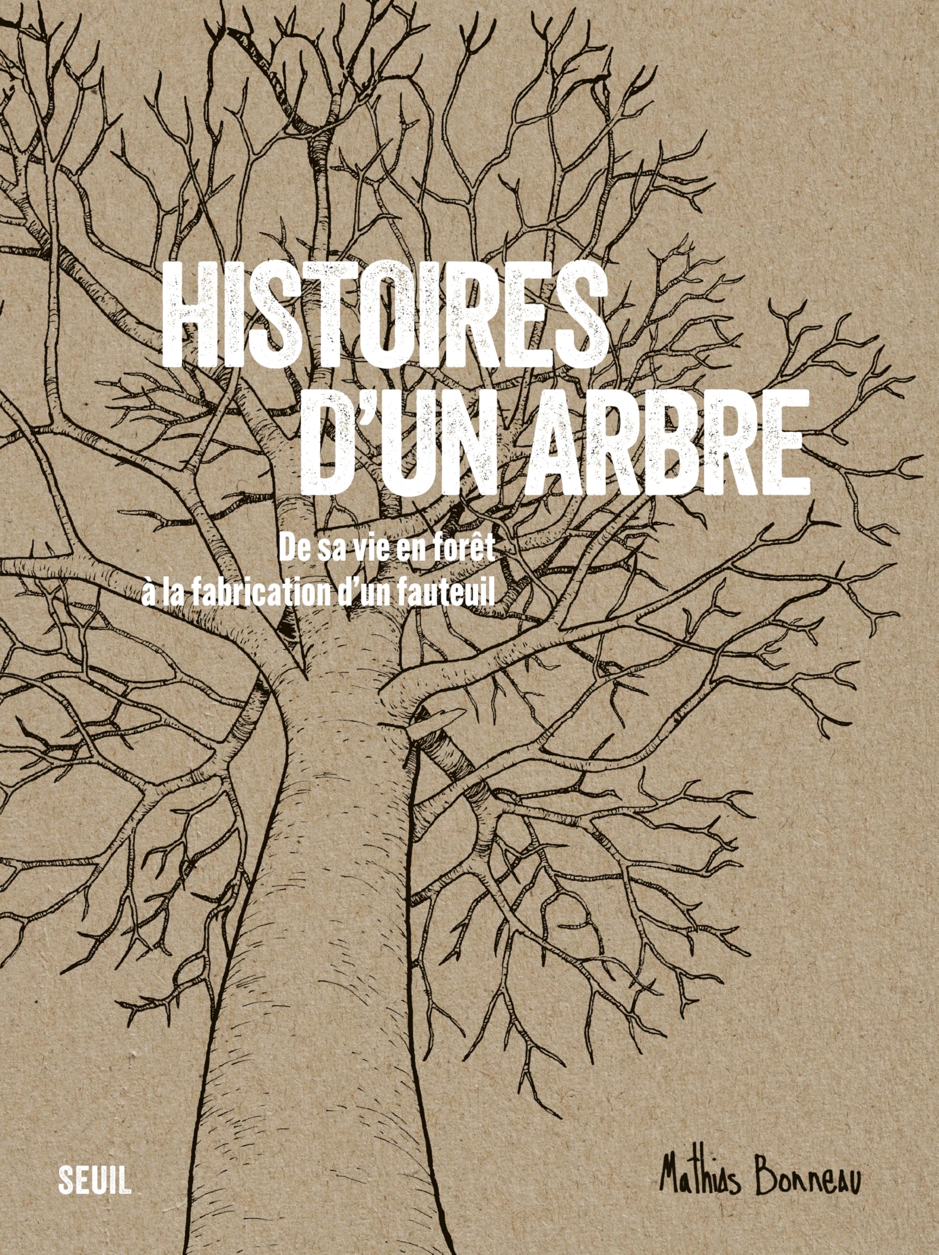 Histoires d'un arbre: De sa vie en forêt à la fabrication d'un fauteuil