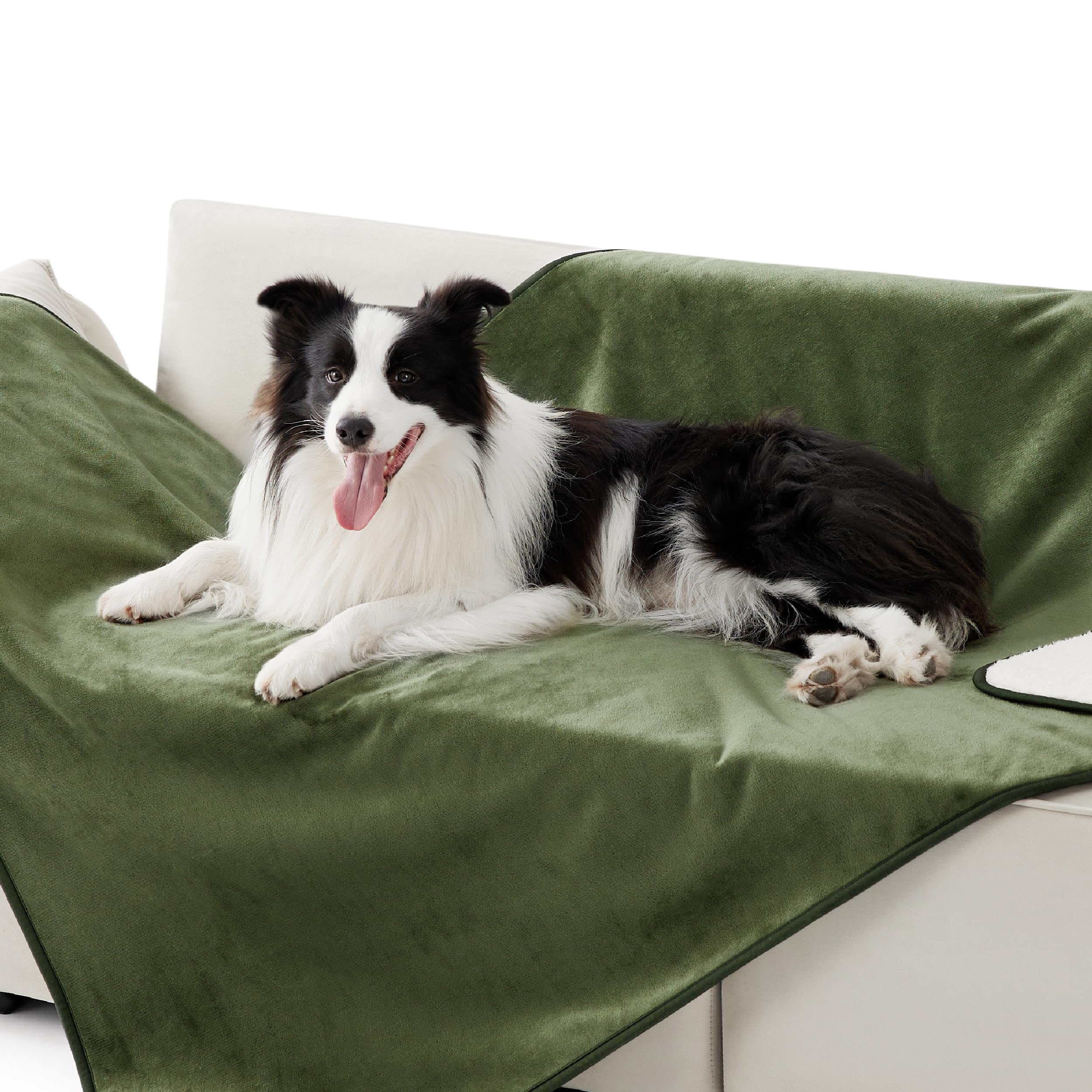 Lesure - Manta de forro polar impermeable lavable, 152 x 127 cm, manta grande para niños y perros grandes, manta personalizada para perros, protege la cama y el sofá con felpa suave, color verde oliva
