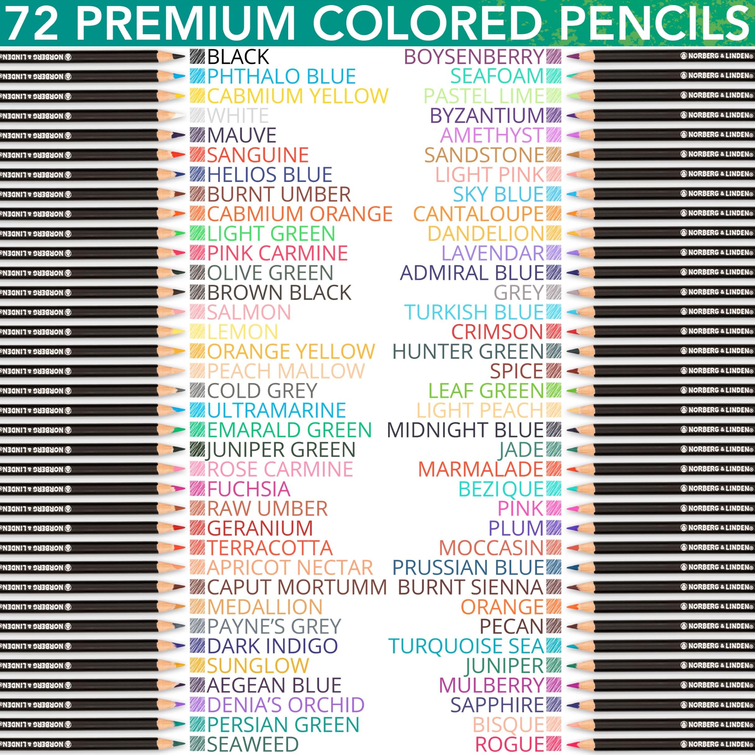 Color Swell Buntstifte Großpackung – 12 Sets à 12 Stifte (144 Total), Vorgespitzt, Lebendige Farben, Für Kinder, Schule & Kreativprojekte