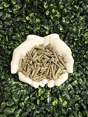 Miniatura 2 de HealinGifts Té de cola de caballo (Cola de Caballo/Shavegrass) – Bolsa Kraft resellable de 0.5 oz – Té de hojas sueltas de hierbas