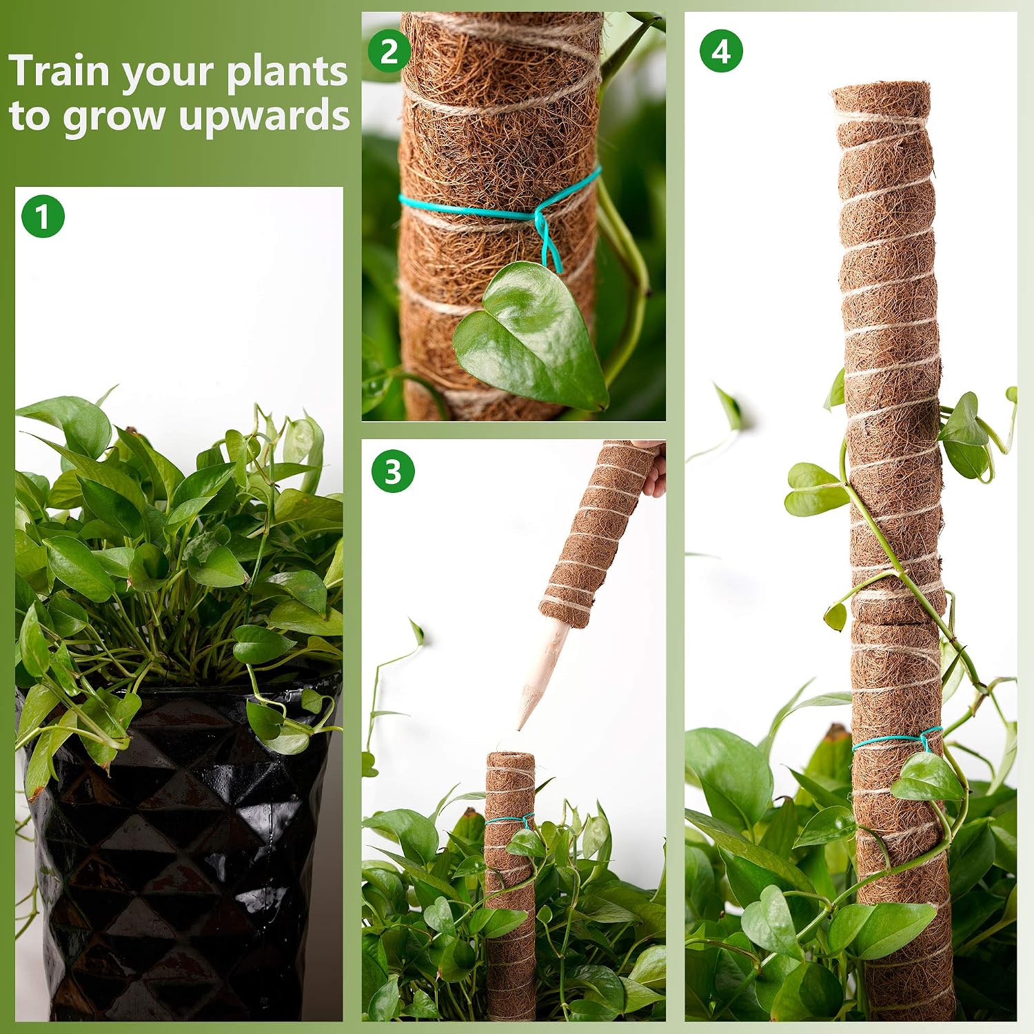 62.8 Inches Support Indoor Plants, 4 Pack 15.7 Inches Moss Pole for Plants to Grow Upwards, Climbing Indoor Plants, Stick for Creeper, Coir Totem Pole Plant Support, Plant Support Pole,Coco Coir Poles