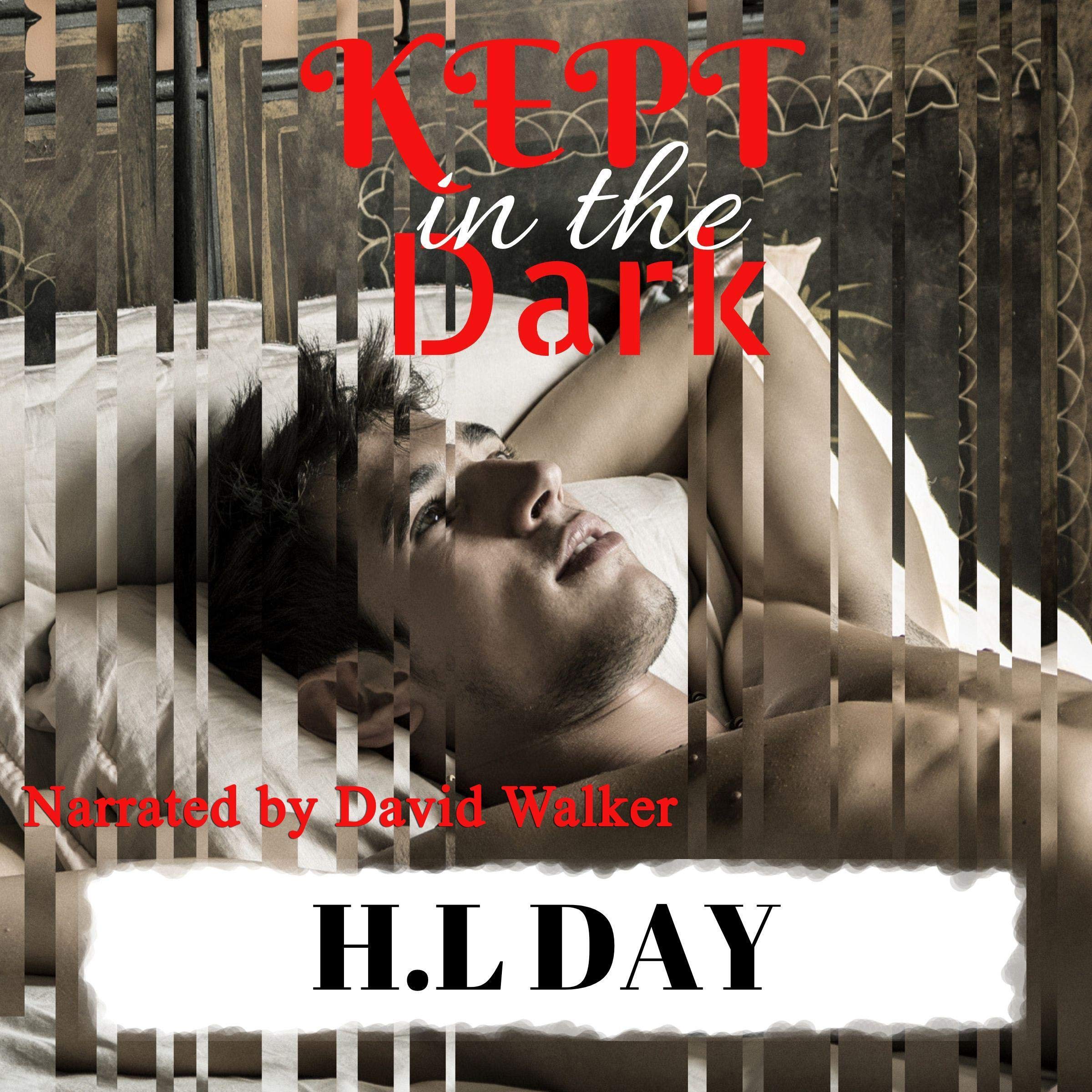 Cover art for Kept in the Dark