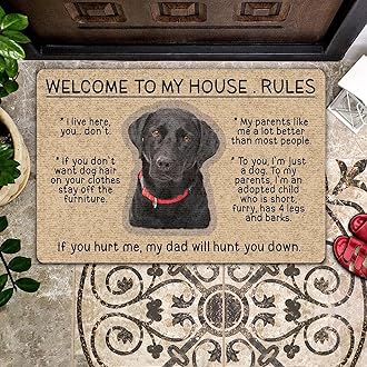 QISPIOD,Door Mat Indoor Entrance Retriever Doormat Welcome to My House Rules Welcome Dog Mat Decor Inside Floor Mat Rugs Non Slip Absorbent Mud Trapper Mats Home Decor 16x24 Inch,16*24INCH