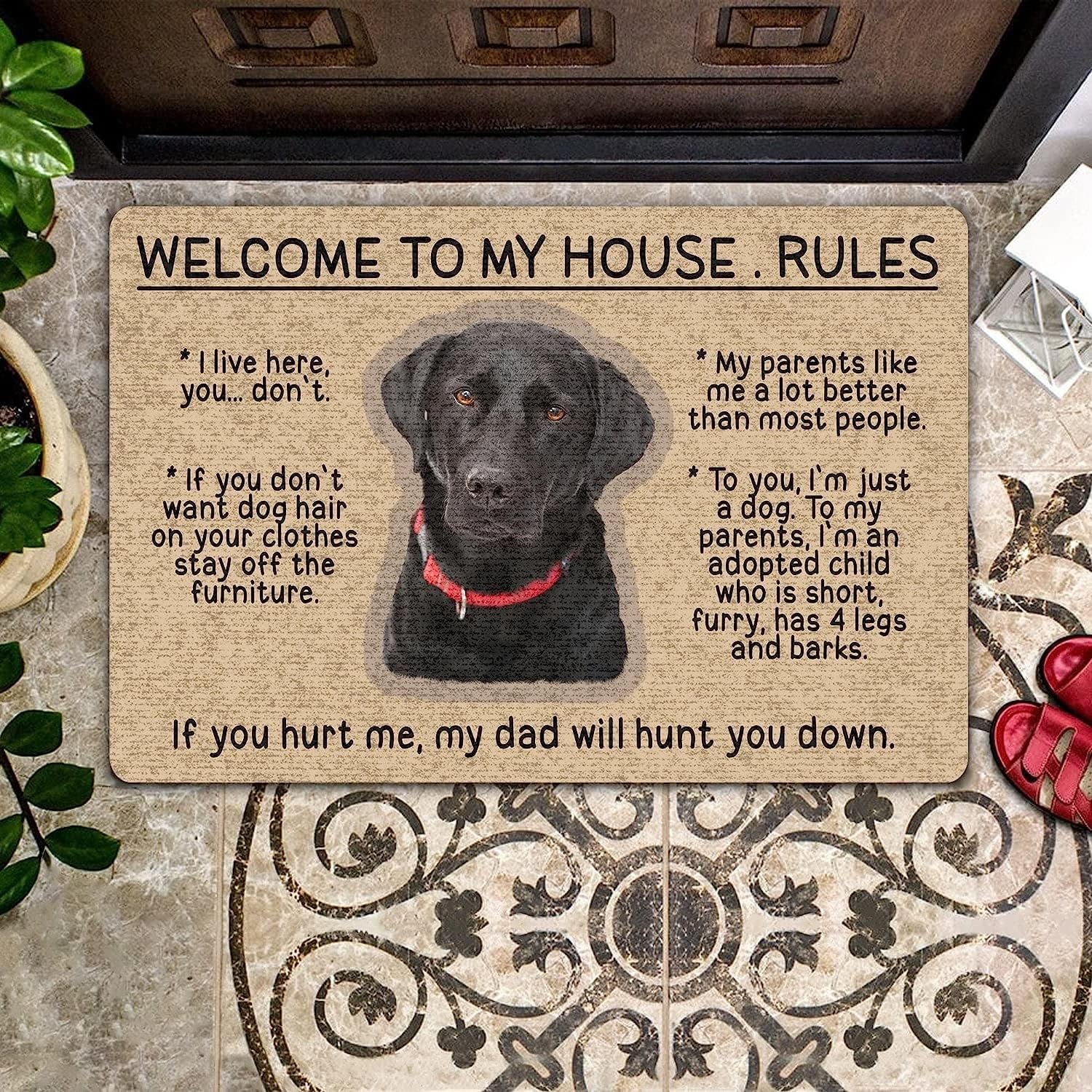 QISPIOD,Door Mat Indoor Entrance Retriever Doormat Welcome to My House Rules Welcome Dog Mat Decor Inside Floor Mat Rugs Non Slip Absorbent Mud Trapper Mats Home Decor 16x24 Inch,16*24INCH