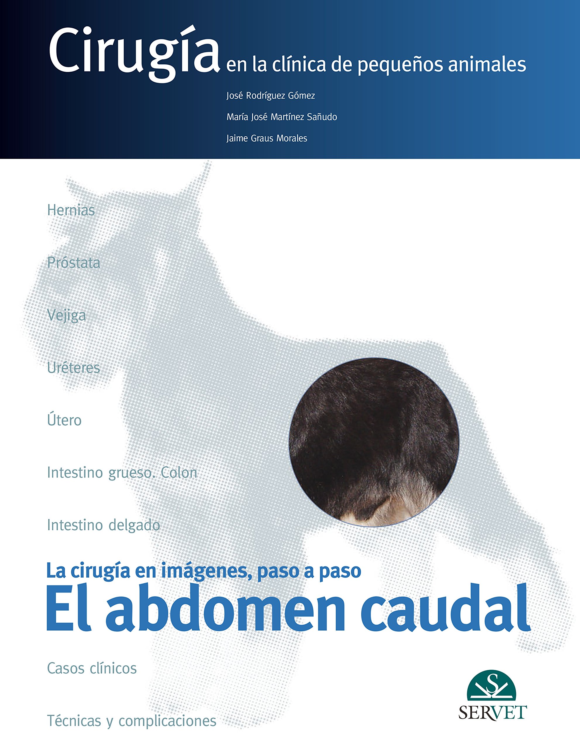 El abdomen caudal. Cirugía en la clínica de pequeños animales. La cirugía en imágenes, paso a paso: 2