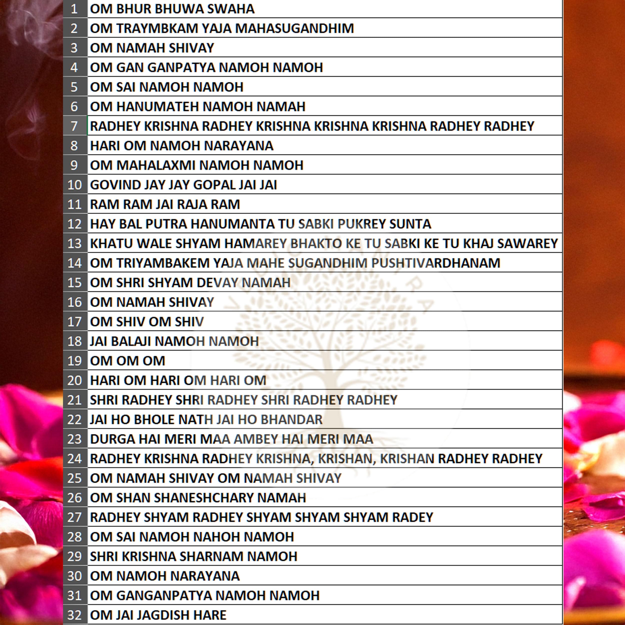 Hindu Mantra Chanting Device - 32 Mantras FREE SHIPPING -3