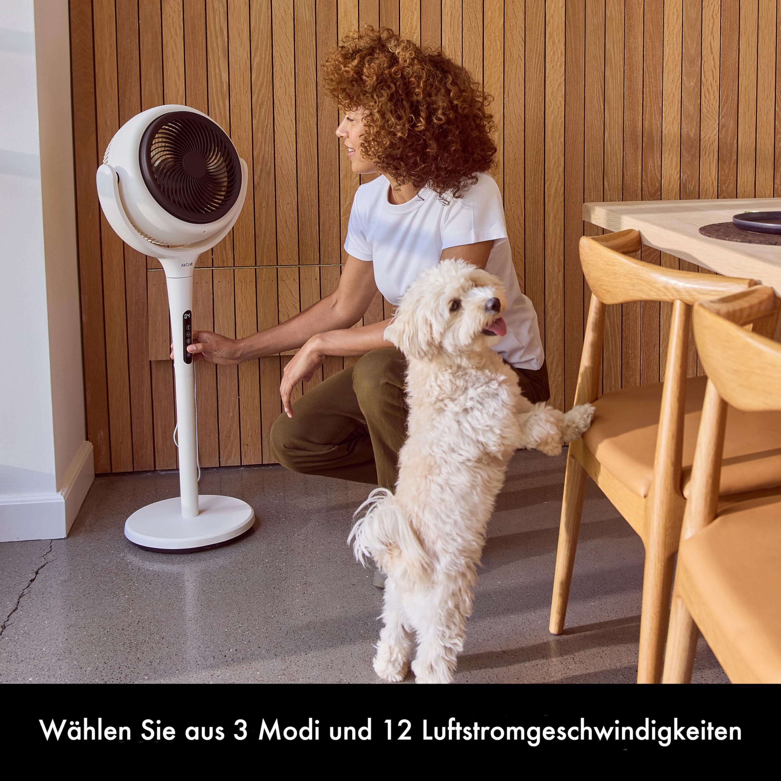 AirCraft Home, Lume Ventilator mit Fernbedienung und LED-Hintergrundbeleuchtung, Ultra-leiser 3D Luftzirkulator, Höhenverstellbarer Tisch- und Standventilator mit Timer und 3 Modi