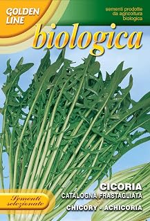 Franchi Seeds of Italy"Organic Range Chicory Catalogna Frastagliata" Seeds