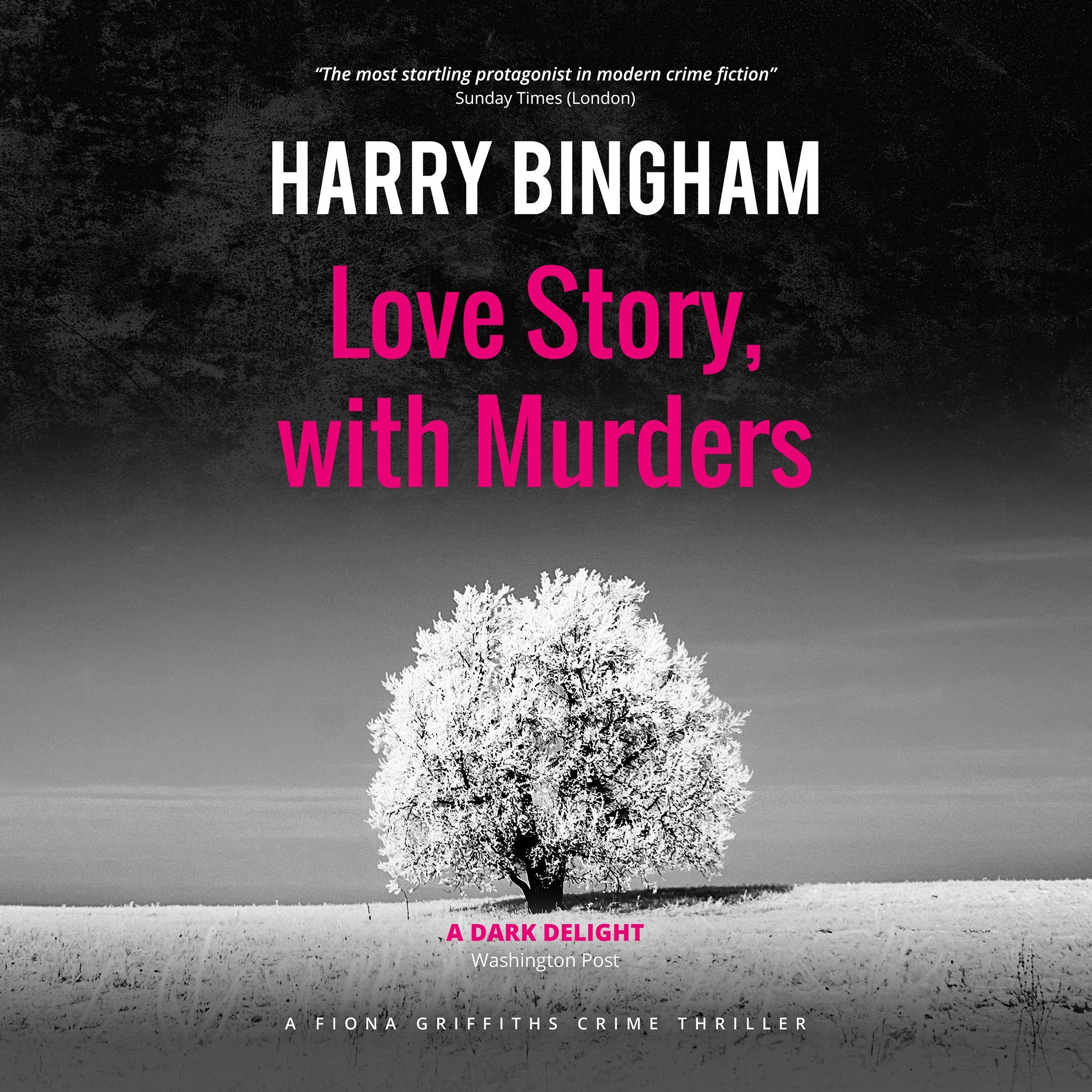 Cover art for Love Story, with Murders