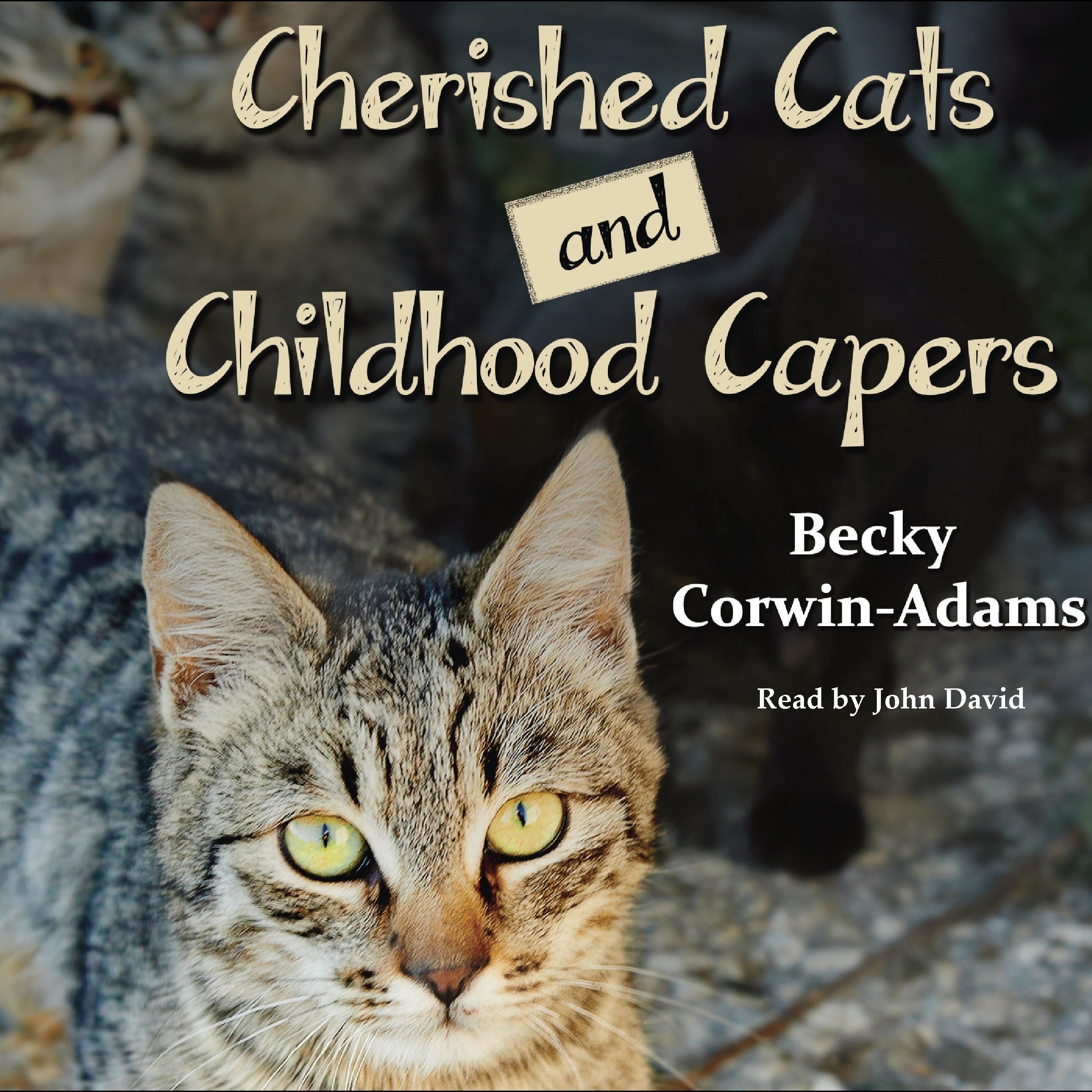 Cherished Cats and Childhood Capers