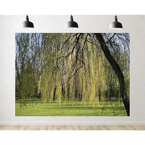 Trykid 5x3ft Weeping Willow Backdrop Hanging Twig Fresh Green Lawn Park Tree Bright Sky Photography Background Brunch Gathering Party Decoration Tapestry Photo Booth Prop Fabric
