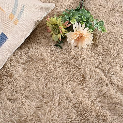 Miniatura 4 de DweIke - Alfombras de área peludas supersuaves y mullidas de 6 x 9 pies, color naranja claro, para sala de estar, dormitorio, habitación de niñas y